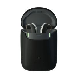 Travel Charger - Slim RIC